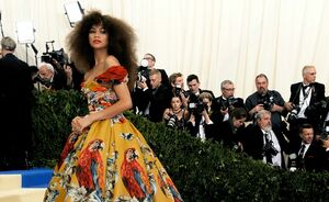 Dit waren de meest bijzondere en opvallende outfits tijdens het Met Gala 2017