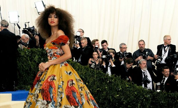 Dit waren de meest bijzondere en opvallende outfits tijdens het Met Gala 2017