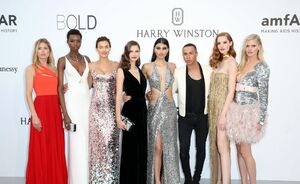 Dit waren de soms wel erg sexy looks op de rode loper van het amfAR Gala