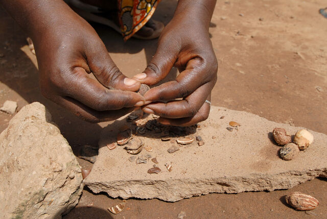 Waarom Shea butter het antwoord op alles is