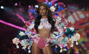 Victoria's Secret zoals we haar kennen, is niet meer