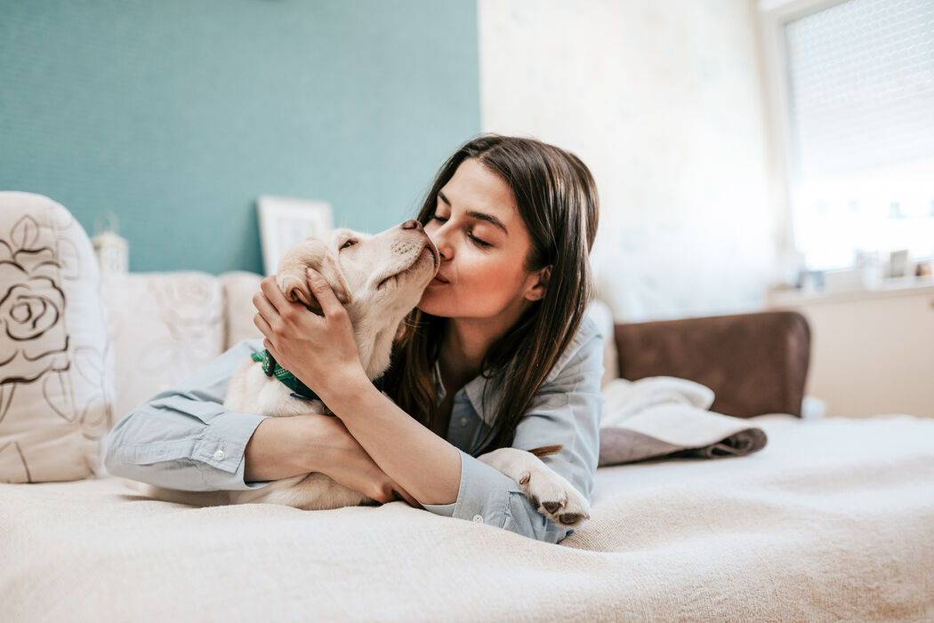 Dit zijn de allerleukste cadeautjes om jouw huisdier op dierendag te geven