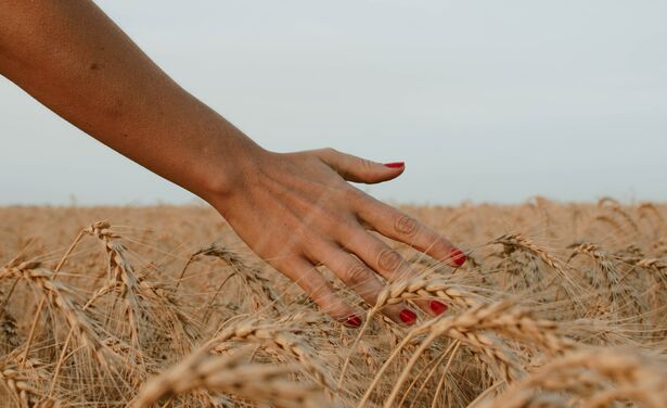 Dit zijn de allermooiste rode nagellakjes die er te krijgen zijn