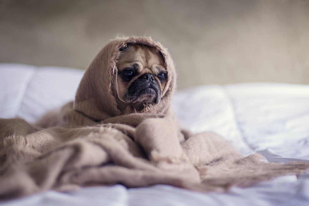 Super gestresst de laatste maanden? Deze 3 tips gaan jou echt helpen