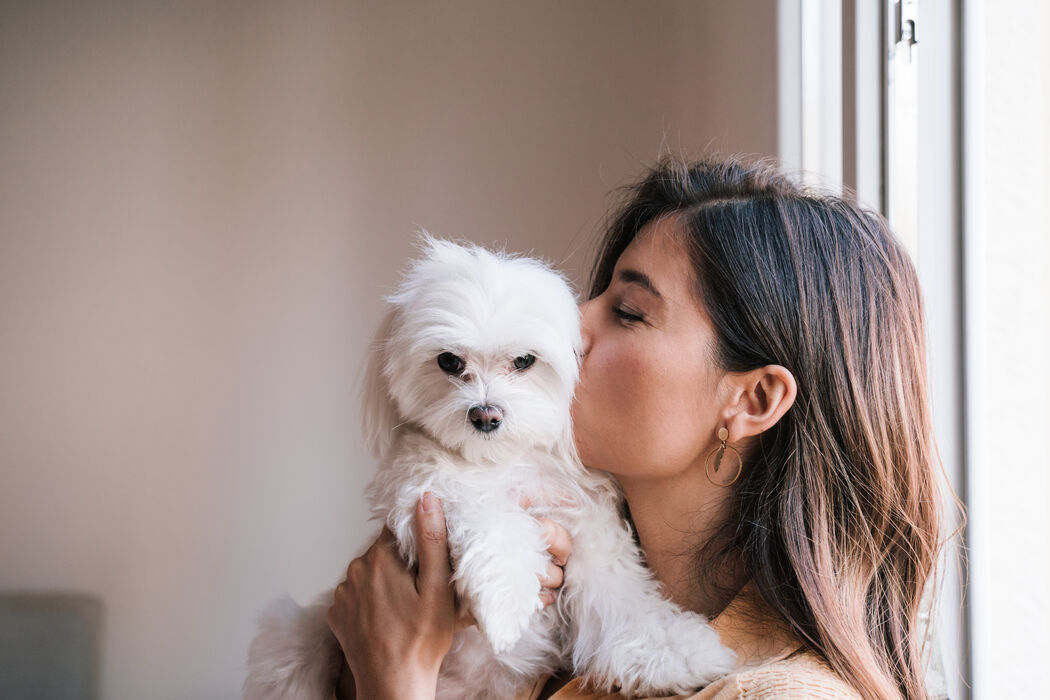 Dit zijn de 5 leukste soorten honden die je wél kunt nemen als je allergisch bent