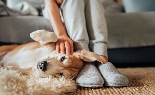 9 x de fijnste pantoffels die jouw voeten warm houden deze winter