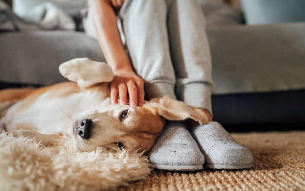 9 x de fijnste pantoffels die jouw voeten warm houden deze winter