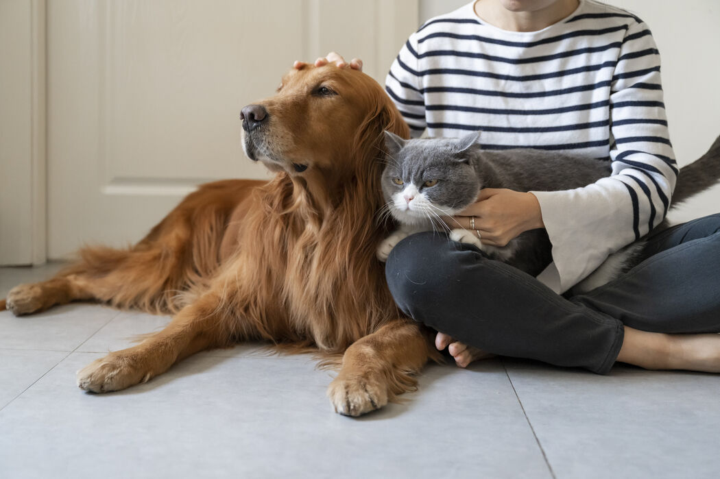 5 tips wanneer jij jouw huis met een viervoeter deelt