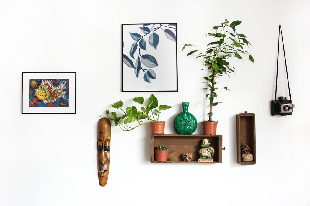 Planten zijn de nieuwe kunst: dit is hoe je ze het beste zo kan gebruiken in jouw interieur