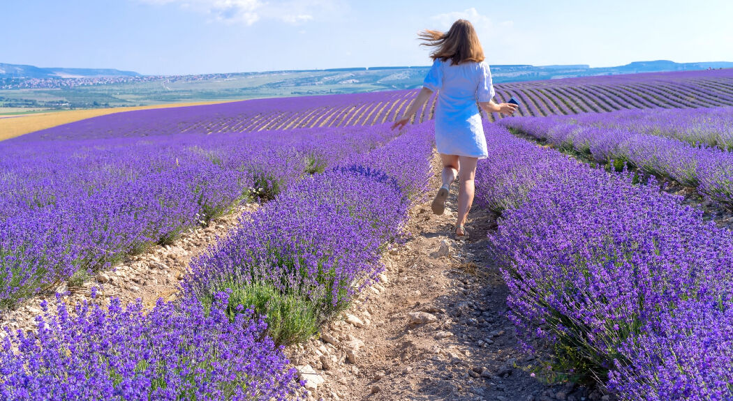 Dit zijn de 5 meest instagrammable plekken in de Provence