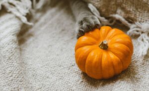 5x woonaccessoires voor een herfstsfeer in huis