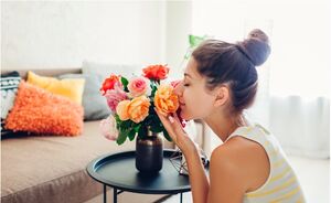 Waarom zijden bloemen een goed alternatief zijn voor ‘echte’ bloemen in je huis