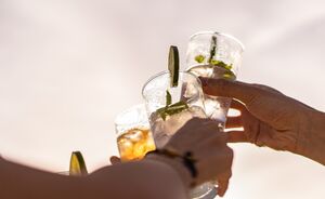 Gin-tonic en prosecco lovers opgelet: zo maak je de ginsecco